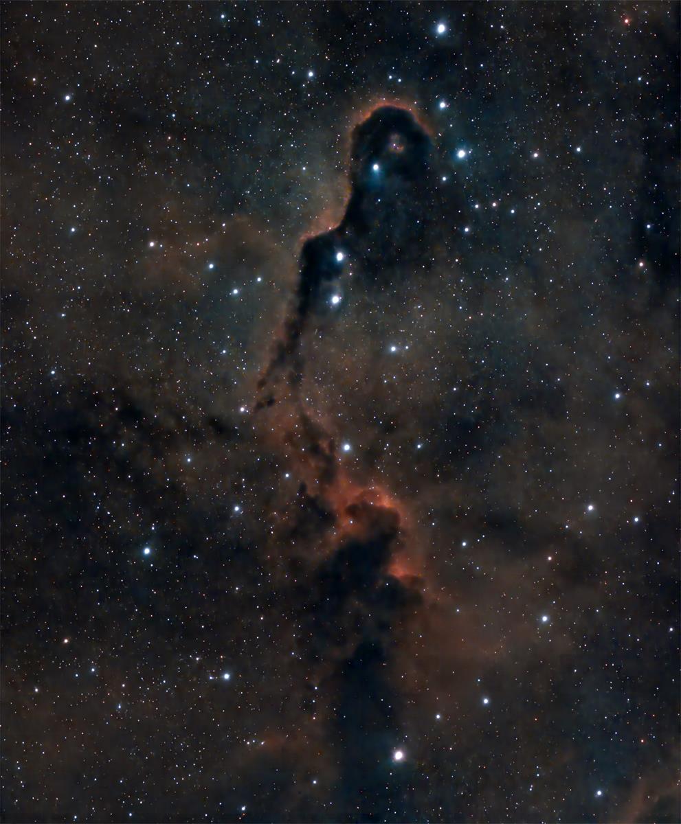 Elephant Trunk Nebula in Cepheus. A rather large molecular gas cloud and dust cloud. This is also an active star forming region.